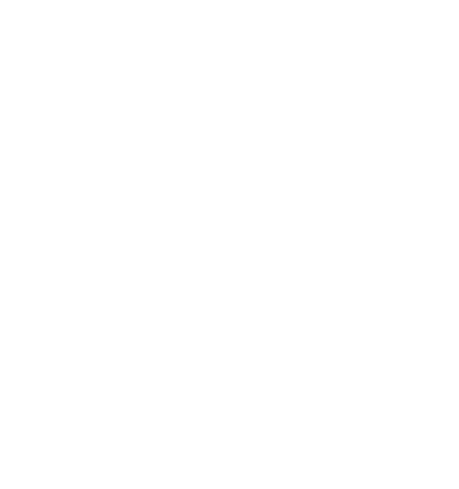 the riviera skates